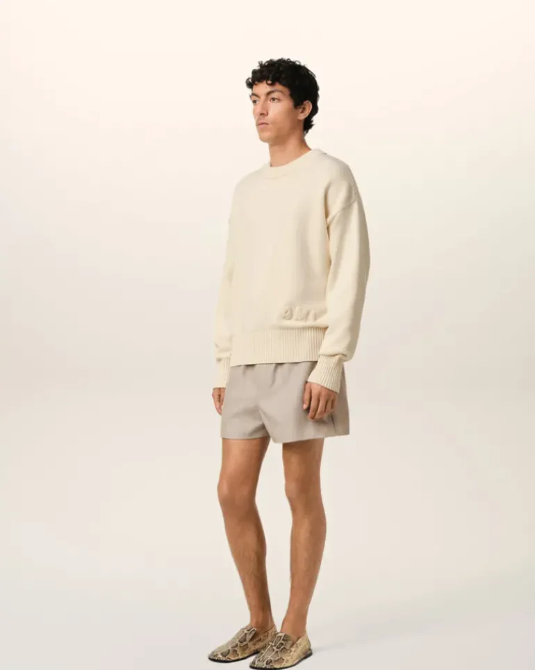 Ami Paris Beige Cotton Ami Embroidered Crewneck Sweater WHITE CREAM Online